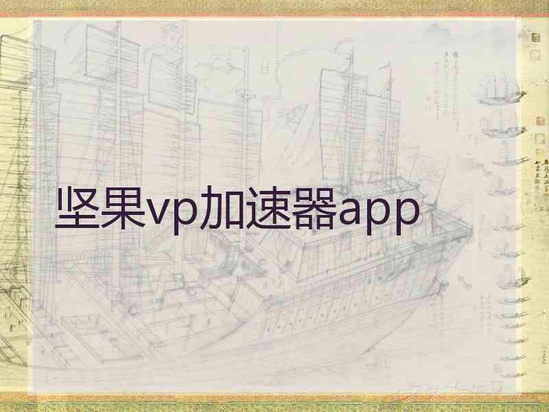 坚果vp加速器app