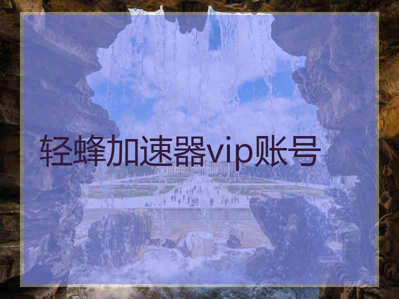 轻蜂加速器vip账号