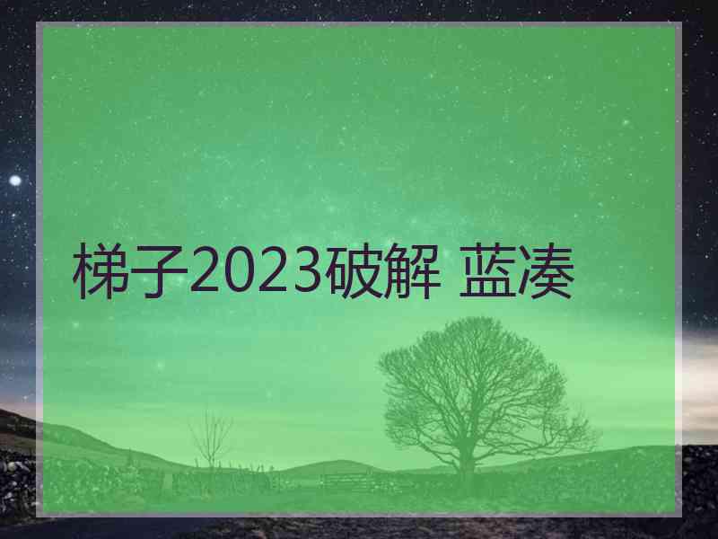 梯子2023破解 蓝凑