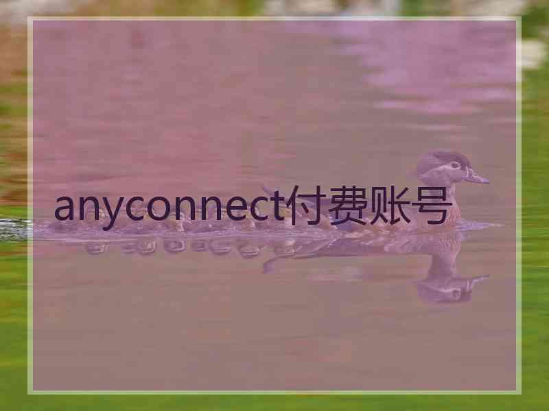 anyconnect付费账号