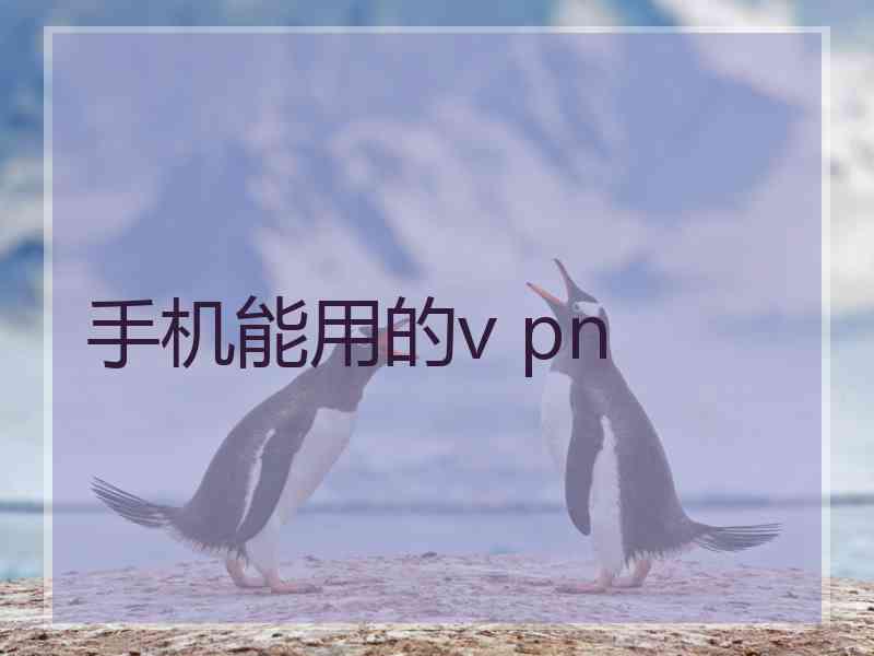 手机能用的v pn