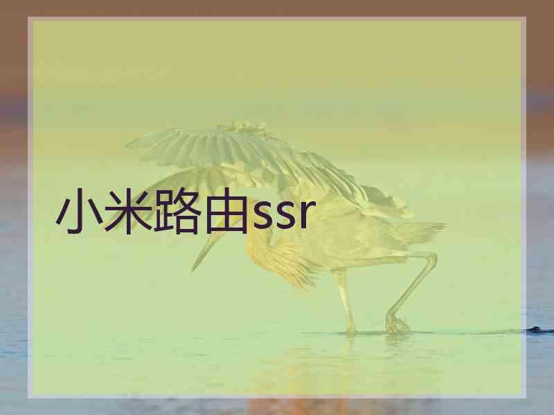 小米路由ssr