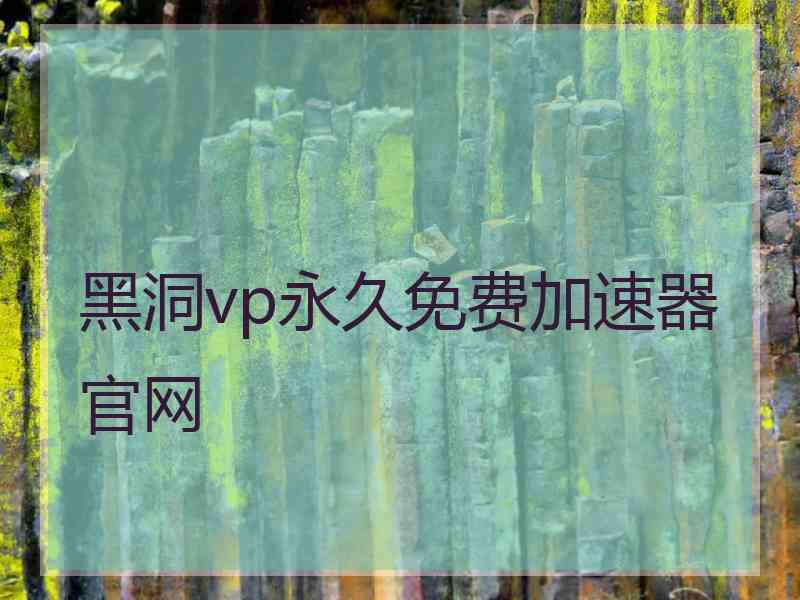 黑洞vp永久免费加速器官网