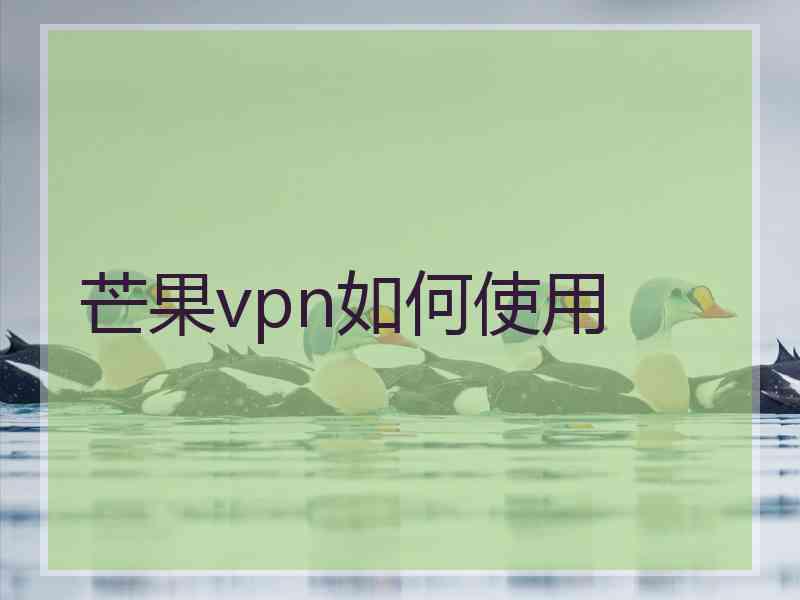 芒果vpn如何使用