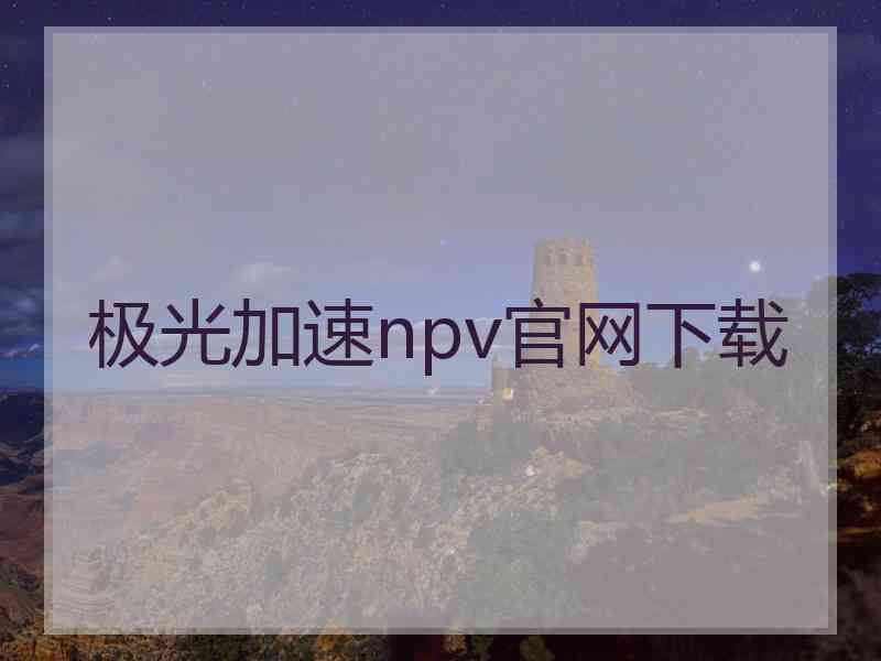 极光加速npv官网下载