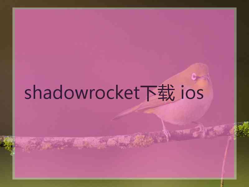 shadowrocket下载 ios