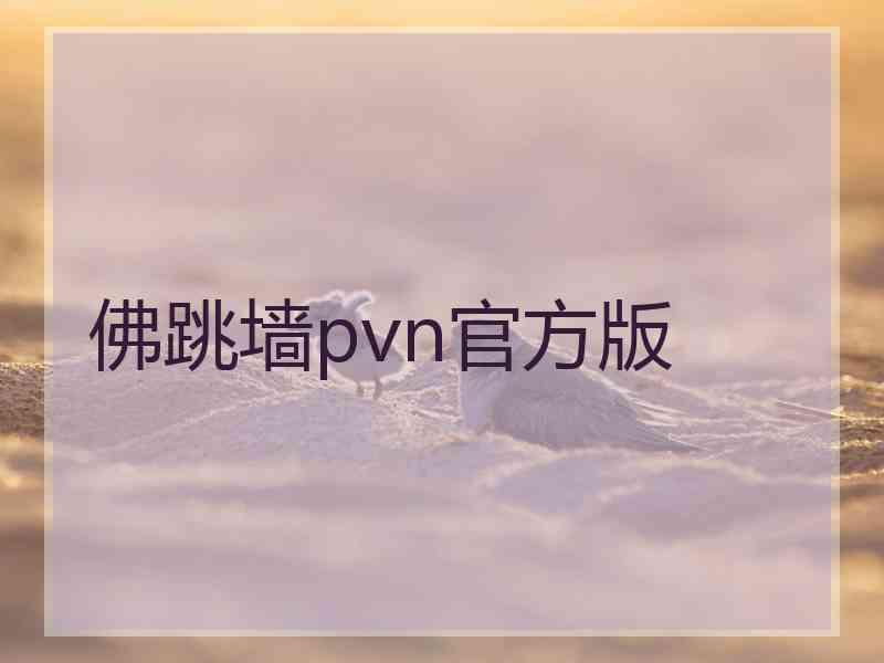 佛跳墙pvn官方版