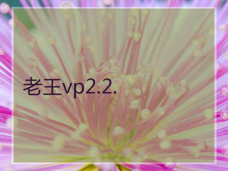 老王vp2.2.