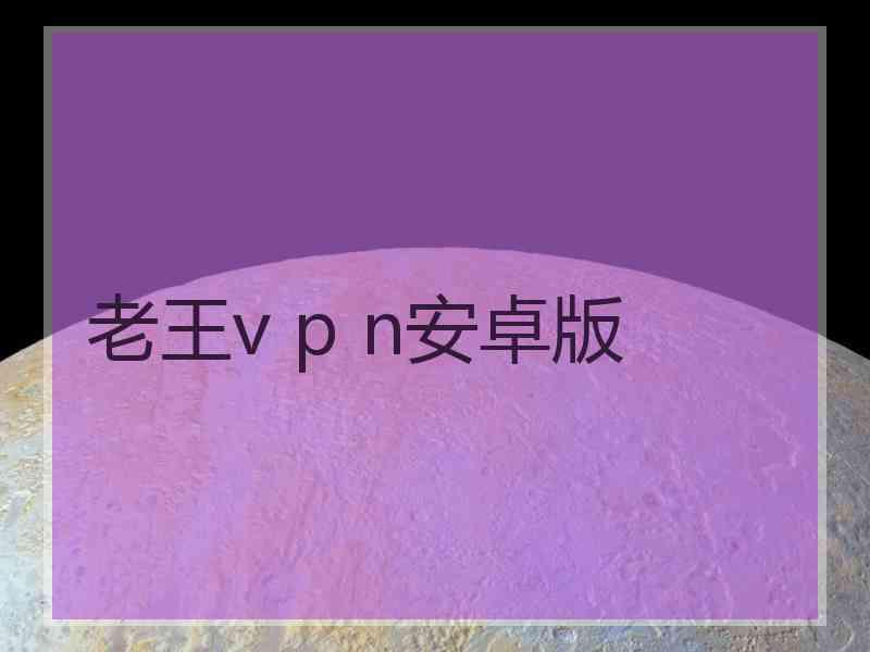 老王v p n安卓版