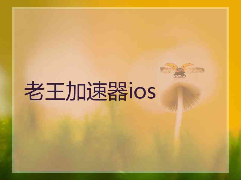 老王加速器ios