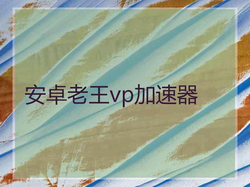 安卓老王vp加速器