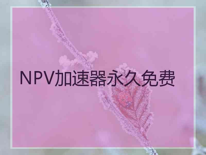 NPV加速器永久免费