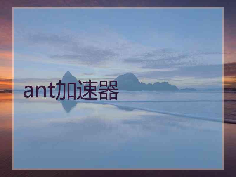 ant加速器