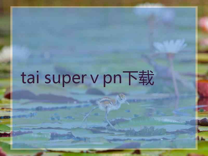 tai superⅴpn下载