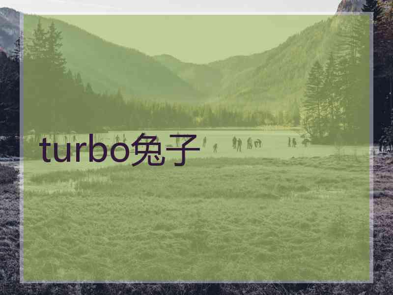 turbo兔子