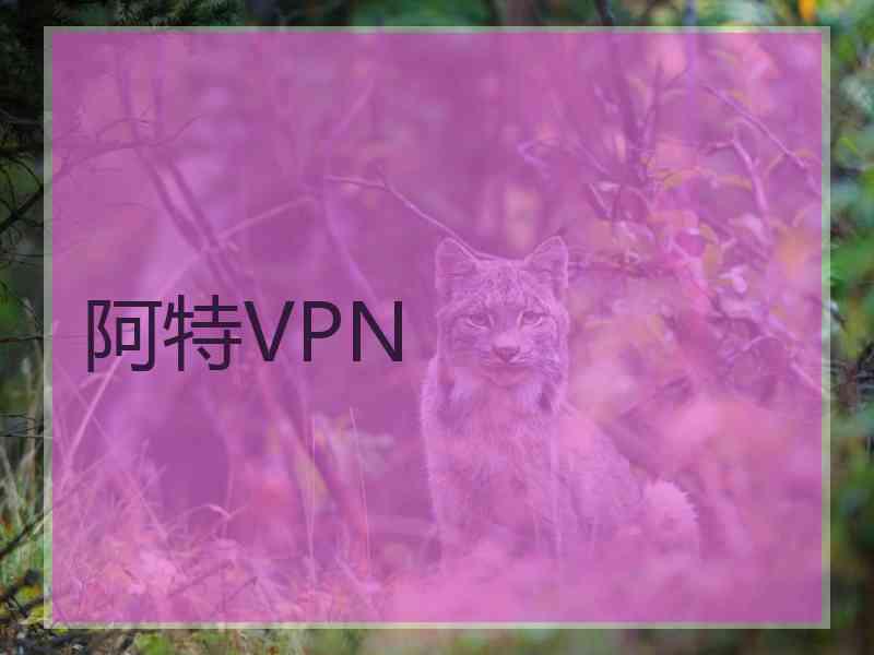 阿特VPN