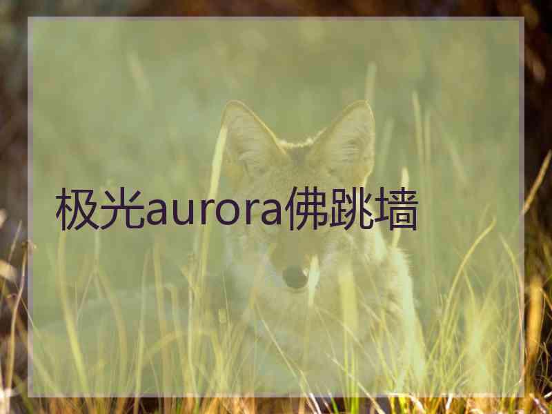 极光aurora佛跳墙