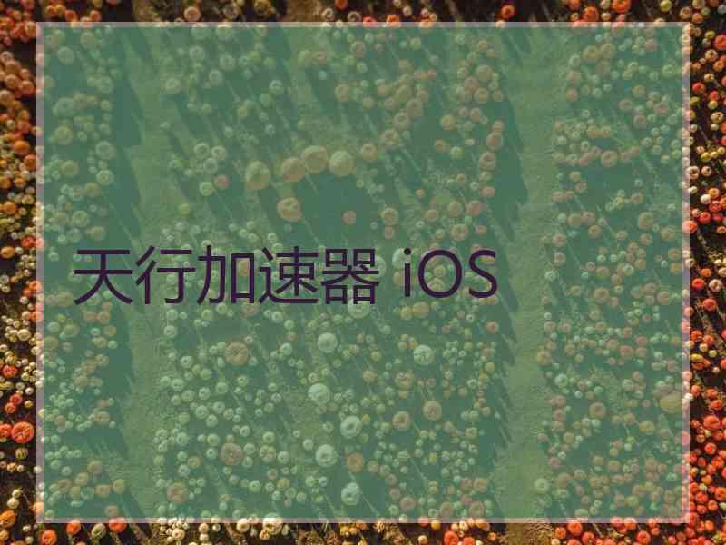 天行加速器 iOS