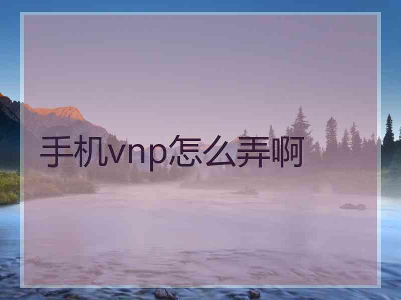 手机vnp怎么弄啊