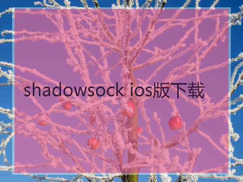 shadowsock ios版下载