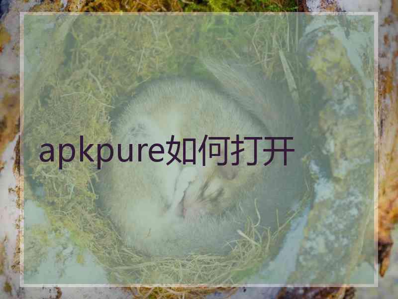 apkpure如何打开