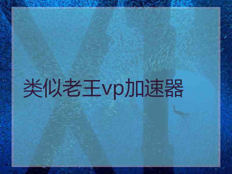 类似老王vp加速器