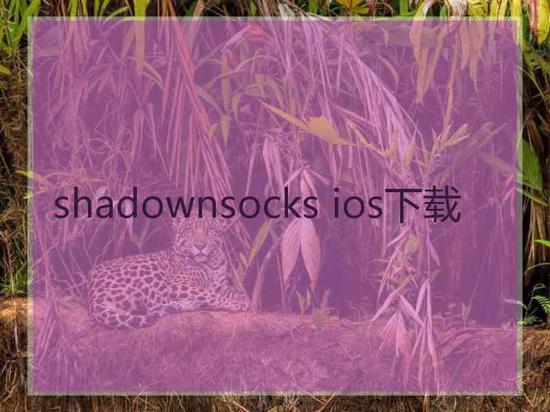 shadownsocks ios下载