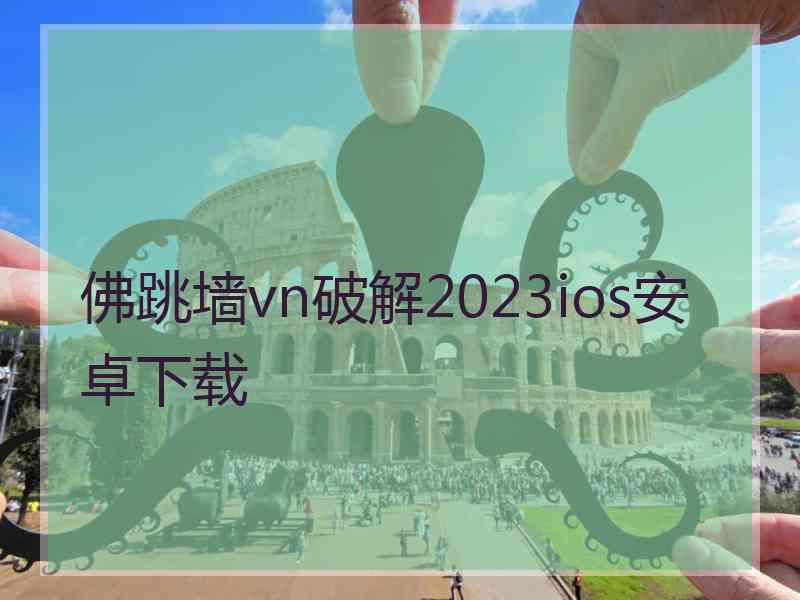 佛跳墙vn破解2023ios安卓下载