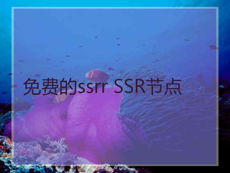 免费的ssrr SSR节点