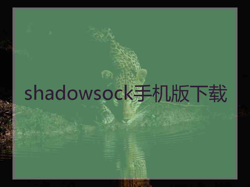 shadowsock手机版下载