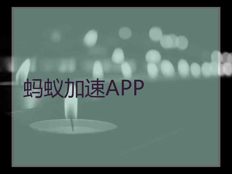 蚂蚁加速APP