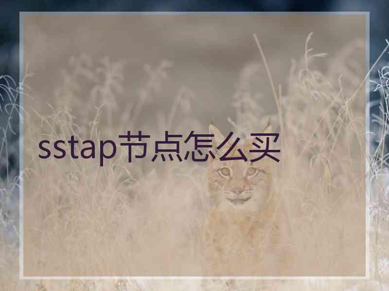 sstap节点怎么买