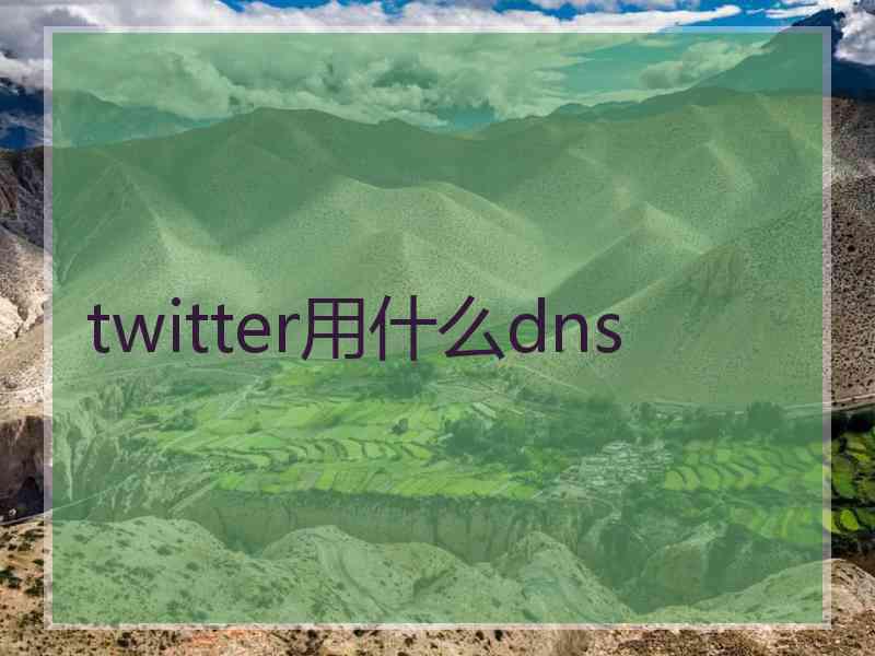 twitter用什么dns