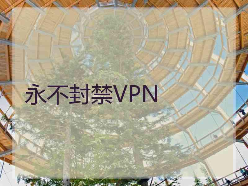 永不封禁VPN