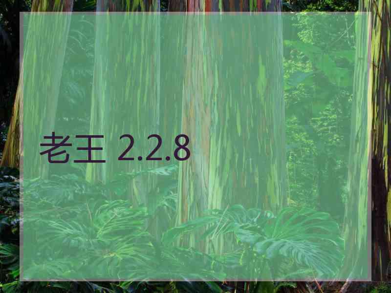 老王 2.2.8