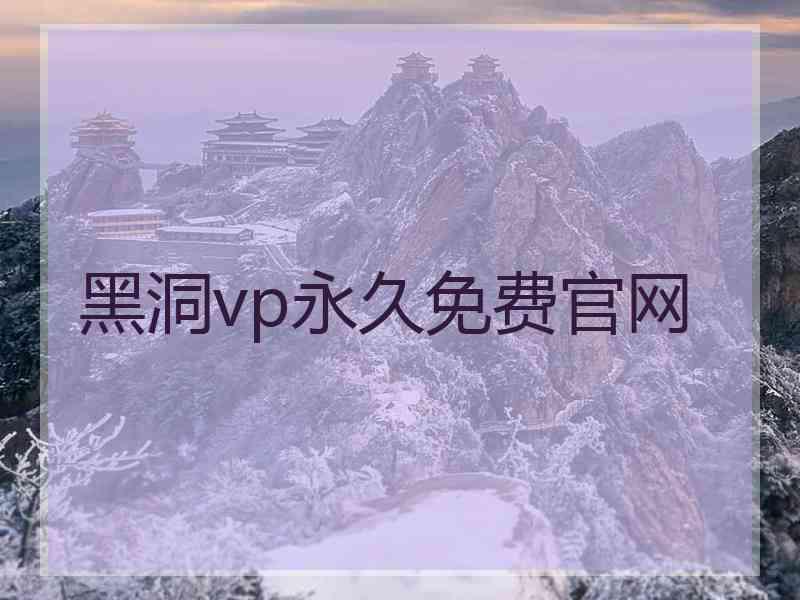 黑洞vp永久免费官网