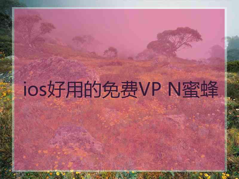 ios好用的免费VP N蜜蜂