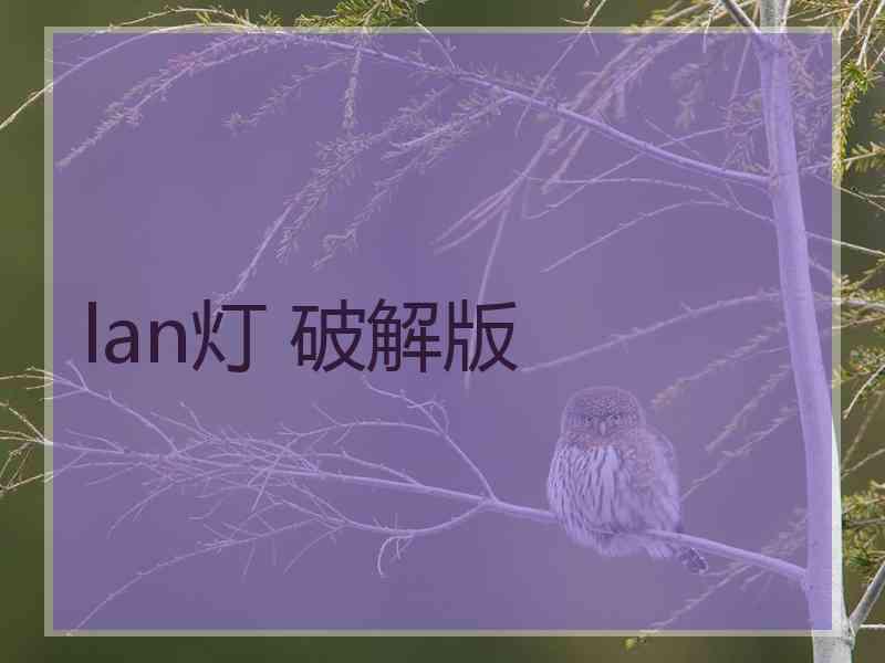 lan灯 破解版