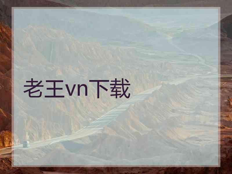 老王vn下载