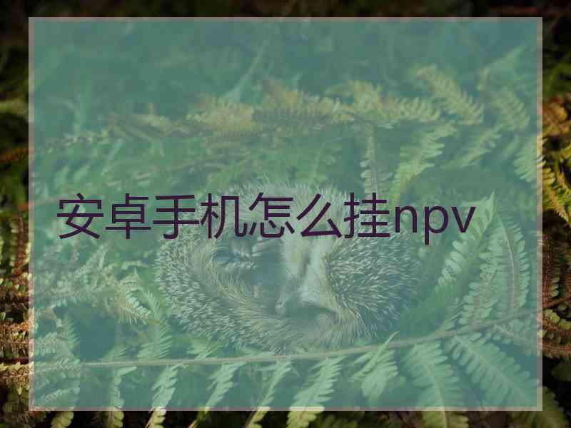 安卓手机怎么挂npv