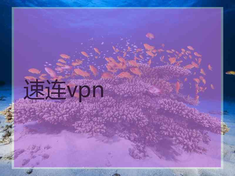 速连vpn