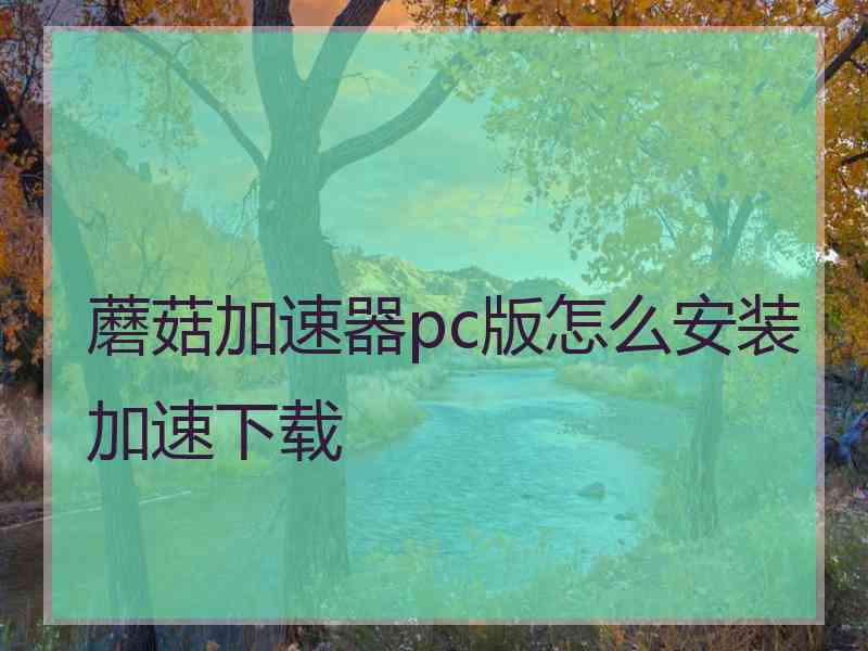 蘑菇加速器pc版怎么安装加速下载