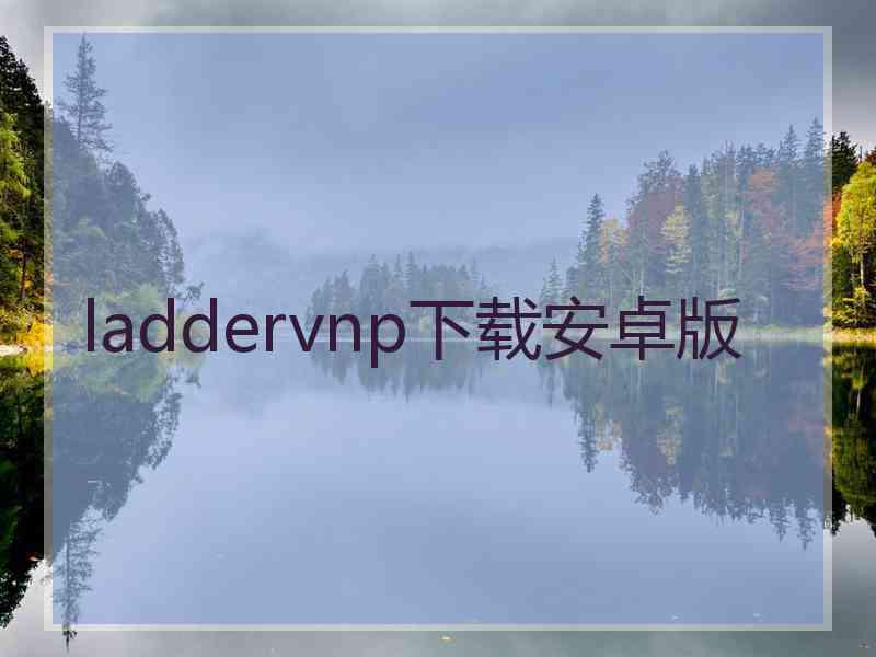 laddervnp下载安卓版