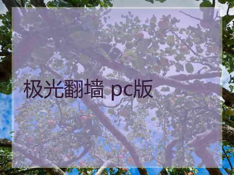 极光翻墙 pc版