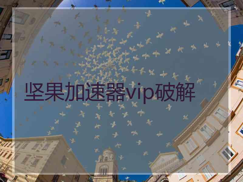 坚果加速器vip破解