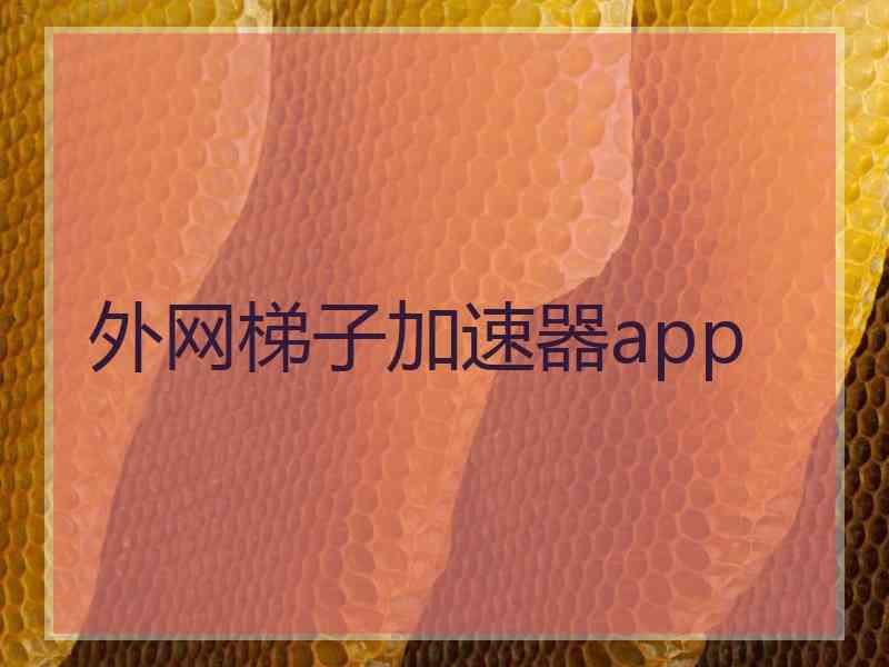 外网梯子加速器app