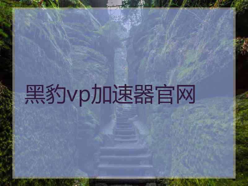 黑豹vp加速器官网