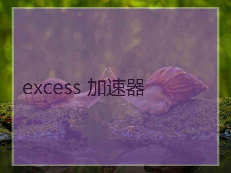 excess 加速器