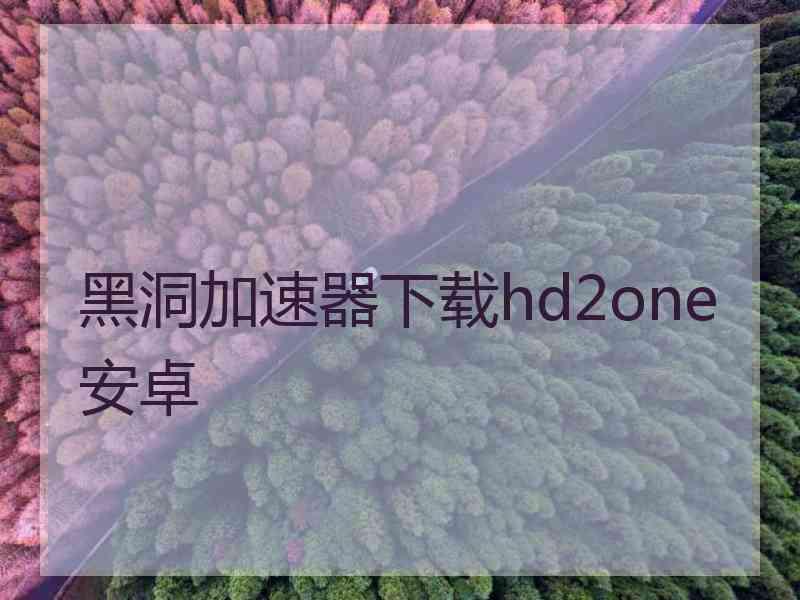 黑洞加速器下载hd2one安卓