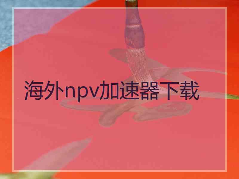 海外npv加速器下载